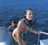 Seal Cove - 2032 Olympic Games