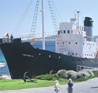 Discovery Bay Tourism Experience - 2032 Olympic Games