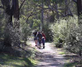 Walyunga National Park WA 2032 Olympic Games