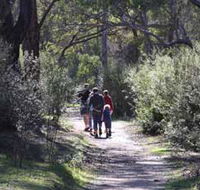 Syd's Rapids and Aboriginal Heritage Trail Avon Valley - 2032 Olympic Games