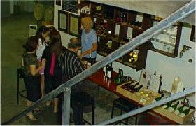 John Kosovich Wines - 2032 Olympic Games 1