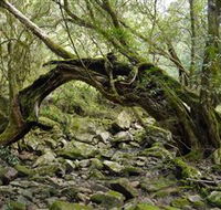 Mitchell River Walking Track - 2032 Olympic Games