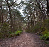 Budawang National Park - 2032 Olympic Games
