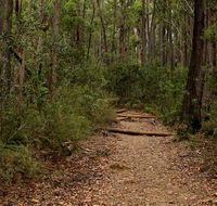 Pigeon House Mountain Didthul walking track - 2032 Olympic Games