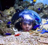 Sea Life Sunshine Coast - 2032 Olympic Games