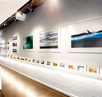 Aquabumps - 2032 Olympic Games