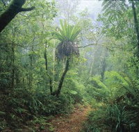 Wagawn - 2032 Olympic Games