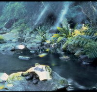 Coomera circuit - 2032 Olympic Games