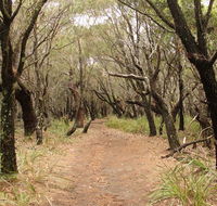 Pretty Beach to Snapper Point walking track - 2032 Olympic Games