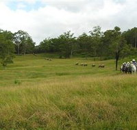 Numinbah Valley Adventure Trails - 2032 Olympic Games