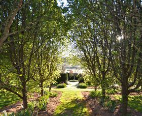 All Saints Garden - 2032 Olympic Games 4