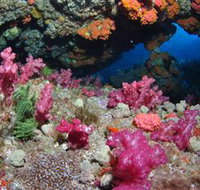 Cherubs Cave Dive Site - 2032 Olympic Games