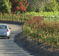 Cassegrain Wines - 2032 Olympic Games