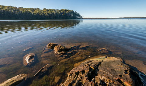 Queens Lake Nature Reserve - 2032 Olympic Games 0