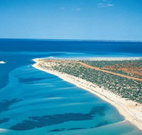 Monkey Mia - 2032 Olympic Games