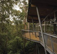 Tarkine Forest Adventures - Dismal Swamp - 2032 Olympic Games
