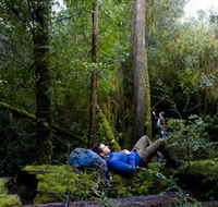 The Tarkine Drive - 2032 Olympic Games