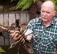 Lobster Ponds - 2032 Olympic Games