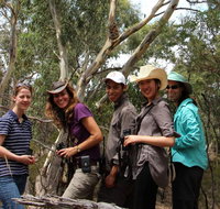 Echidna Walkabout Nature Tours - 2032 Olympic Games