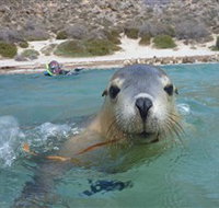 Calypso Star Charters - 2032 Olympic Games