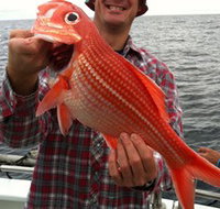 Goin' Off Safaris - 2032 Olympic Games