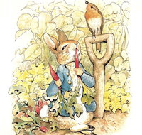 Mount Isa Civic Centre - 2032 Olympic Games