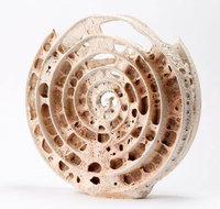 Noosa Regional Gallery - 2032 Olympic Games