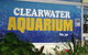 Clearwater Aquariums - thumb 2