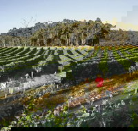 Margaret River Caves Wine and Cape Leeuwin Lighthouse Tour from Perth - 2032 Olympic Games