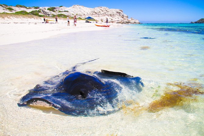 Bramley WA 2032 Olympic Games