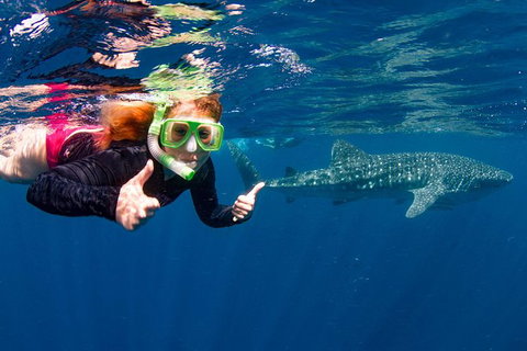 VIP Luxury Chartered Escapes, Exploring The Reef At Your Own Pace - 2032 Olympic Games 20