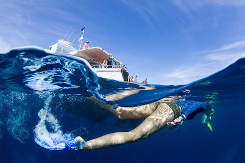 VIP Luxury Chartered Escapes, Exploring The Reef At Your Own Pace - 2032 Olympic Games 40