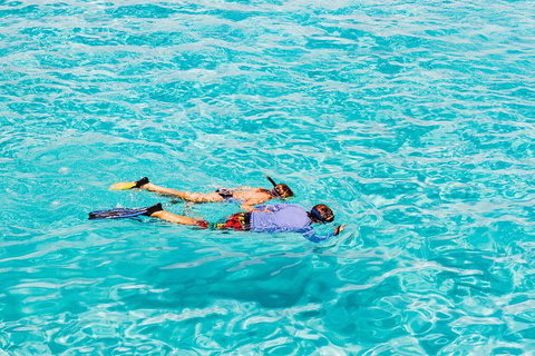 VIP Luxury Chartered Escapes, Exploring The Reef At Your Own Pace - 2032 Olympic Games 29