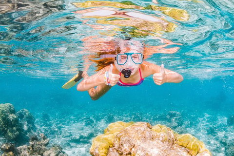 VIP Luxury Chartered Escapes, Exploring The Reef At Your Own Pace - 2032 Olympic Games 48