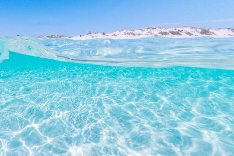 VIP Luxury Chartered Escapes, Exploring The Reef At Your Own Pace - 2032 Olympic Games 39