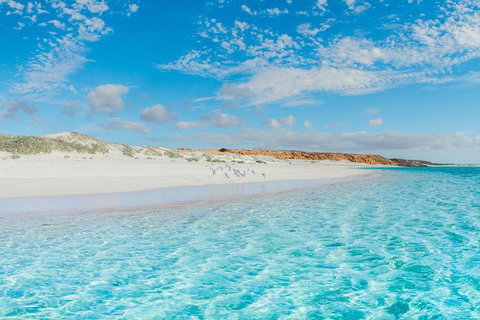 VIP Luxury Chartered Escapes, Exploring The Reef At Your Own Pace - 2032 Olympic Games 36