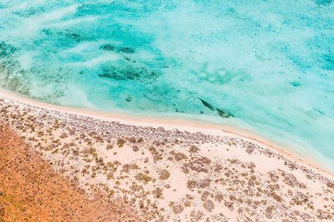 VIP Luxury Chartered Escapes, Exploring The Reef At Your Own Pace - 2032 Olympic Games 4