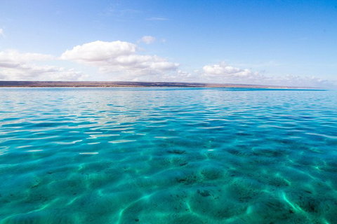 VIP Luxury Chartered Escapes, Exploring The Reef At Your Own Pace - 2032 Olympic Games 32