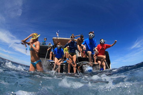 VIP Luxury Chartered Escapes, Exploring The Reef At Your Own Pace - 2032 Olympic Games 17