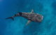 VIP Luxury Chartered Escapes, Exploring The Reef At Your Own Pace - thumb 34