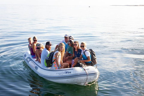VIP Luxury Chartered Escapes, Exploring The Reef At Your Own Pace - 2032 Olympic Games 43