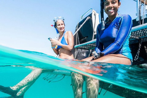 VIP Luxury Chartered Escapes, Exploring The Reef At Your Own Pace - 2032 Olympic Games 24