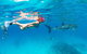 VIP Luxury Chartered Escapes, Exploring The Reef At Your Own Pace - thumb 35