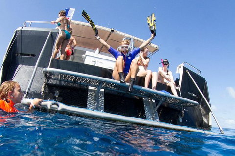 VIP Luxury Chartered Escapes, Exploring The Reef At Your Own Pace - 2032 Olympic Games 25