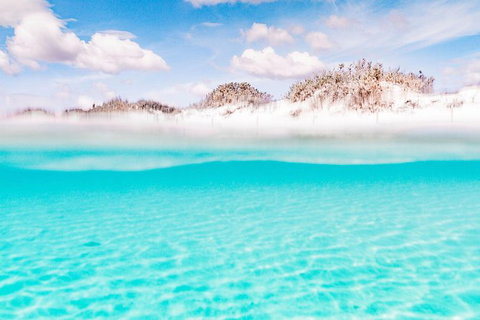 VIP Luxury Chartered Escapes, Exploring The Reef At Your Own Pace - 2032 Olympic Games 10
