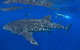 VIP Luxury Chartered Escapes, Exploring The Reef At Your Own Pace - thumb 31