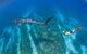 VIP Luxury Chartered Escapes, Exploring The Reef At Your Own Pace - thumb 47