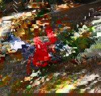 Trees Adventure Lane Poole Park - Treetop  Zipline Experience - 2032 Olympic Games