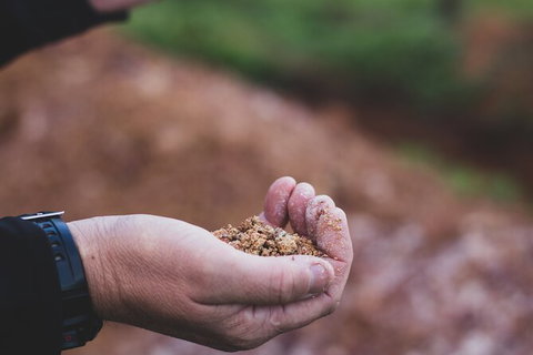 Vasse Felix Epicurean Tour And Tasting Experience With 5 Course Lunch - 2032 Olympic Games 8