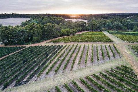 Vasse Felix Epicurean Tour And Tasting Experience With 5 Course Lunch - 2032 Olympic Games 7